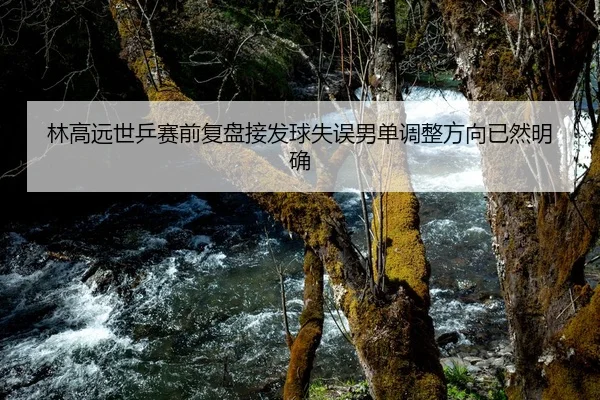 林高远世乒赛前复盘接发球失误男单调整方向已然明确