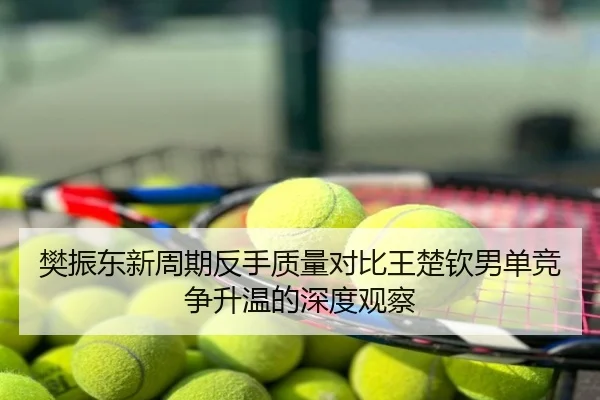 樊振东新周期反手质量对比王楚钦男单竞争升温的深度观察
